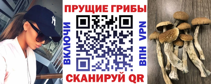 Галлюциногенные грибы мицелий  Красково 